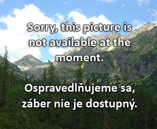 Веб-камера на склоне Павчина Лехота, Словакия